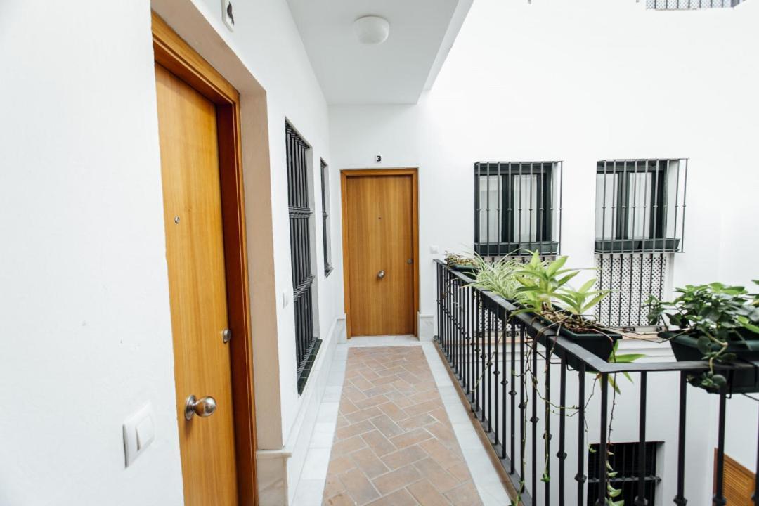 Bright Duplex W/ Terrace Apartment Seville Exterior photo