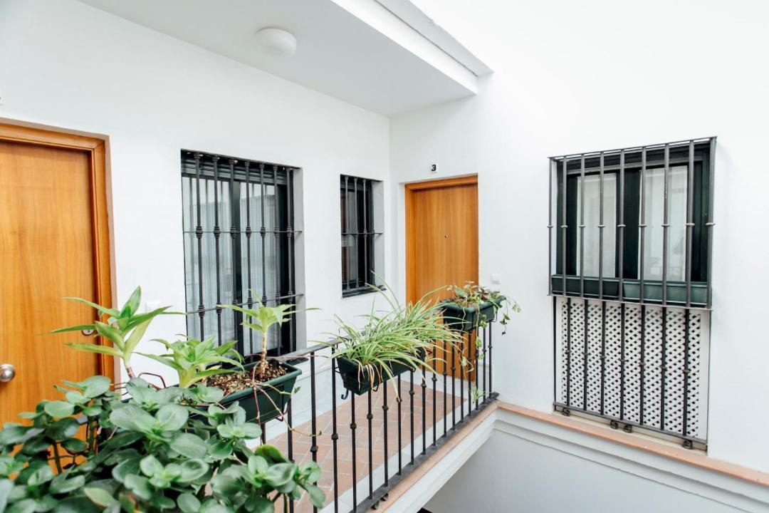 Bright Duplex W/ Terrace Apartment Seville Exterior photo